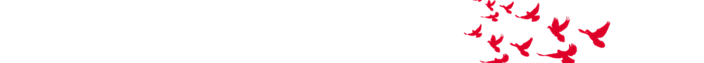 未定名_副本.png